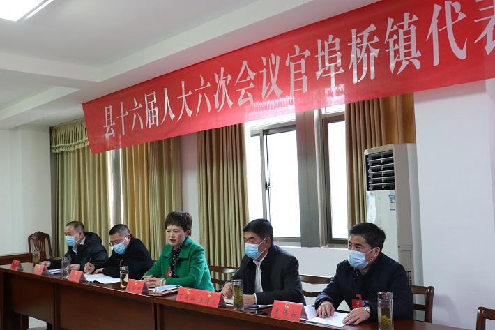 占聆娜在参加官埠桥镇代表团审议时强调：充分发挥代表作用 全面推进乡村振兴