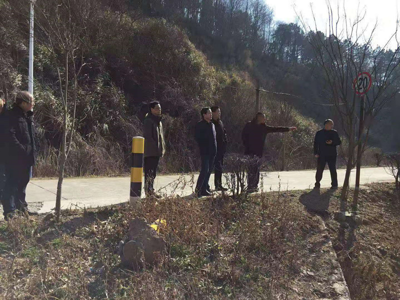 徐瑞生一行调研枞阳县农业农村工作
