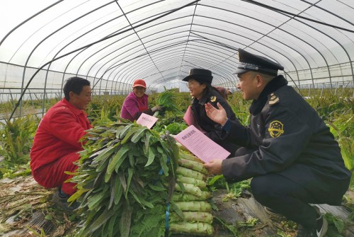 枞阳县发挥知识产权创新优势助力脱贫攻坚