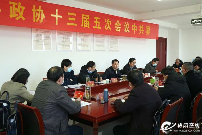  杨秀颀在参加县政协中共界别分组讨论时强调 在服务枞阳高质量发展中彰显政协担当