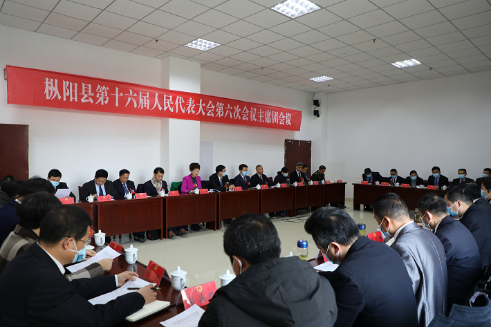 枞阳十六届人大六次会议主席团召开第二次会议