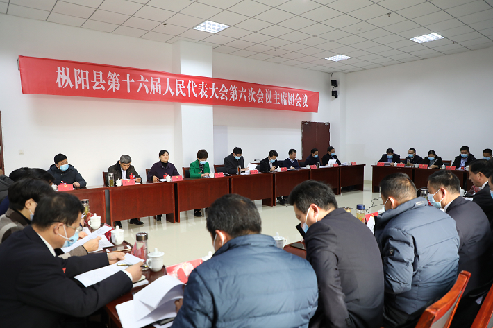枞阳县十六届人大六次会议主席团召开第三次会议