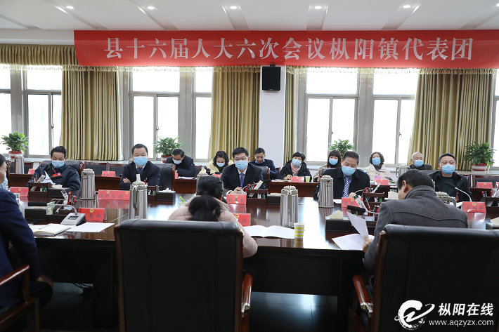 刘亚东在参加枞阳镇代表团审议时强调：在对标对表中谋篇布局 在知重负重中担纲承梁