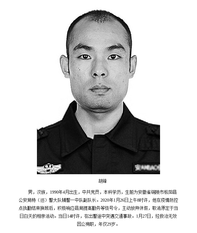 纪念胡锋同志逝世一周年